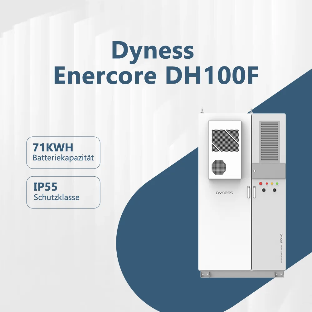 Dyness Enercore DH100F