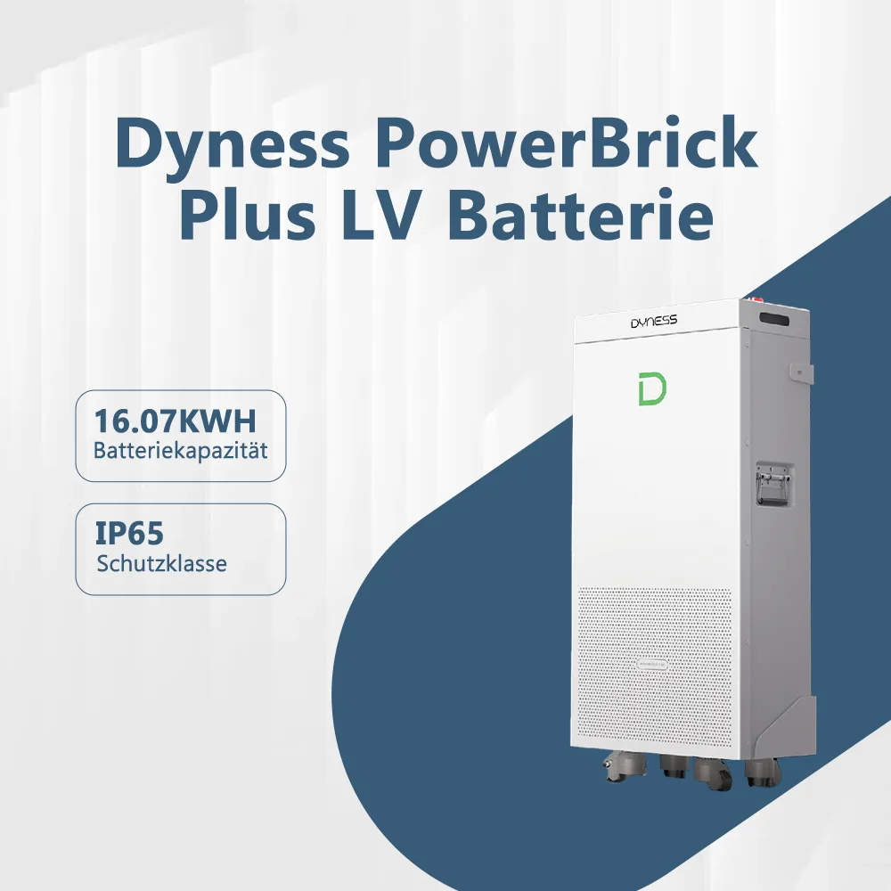 [DYN-BAT-PWB] Dyness PowerBrick Plus LV Batterie