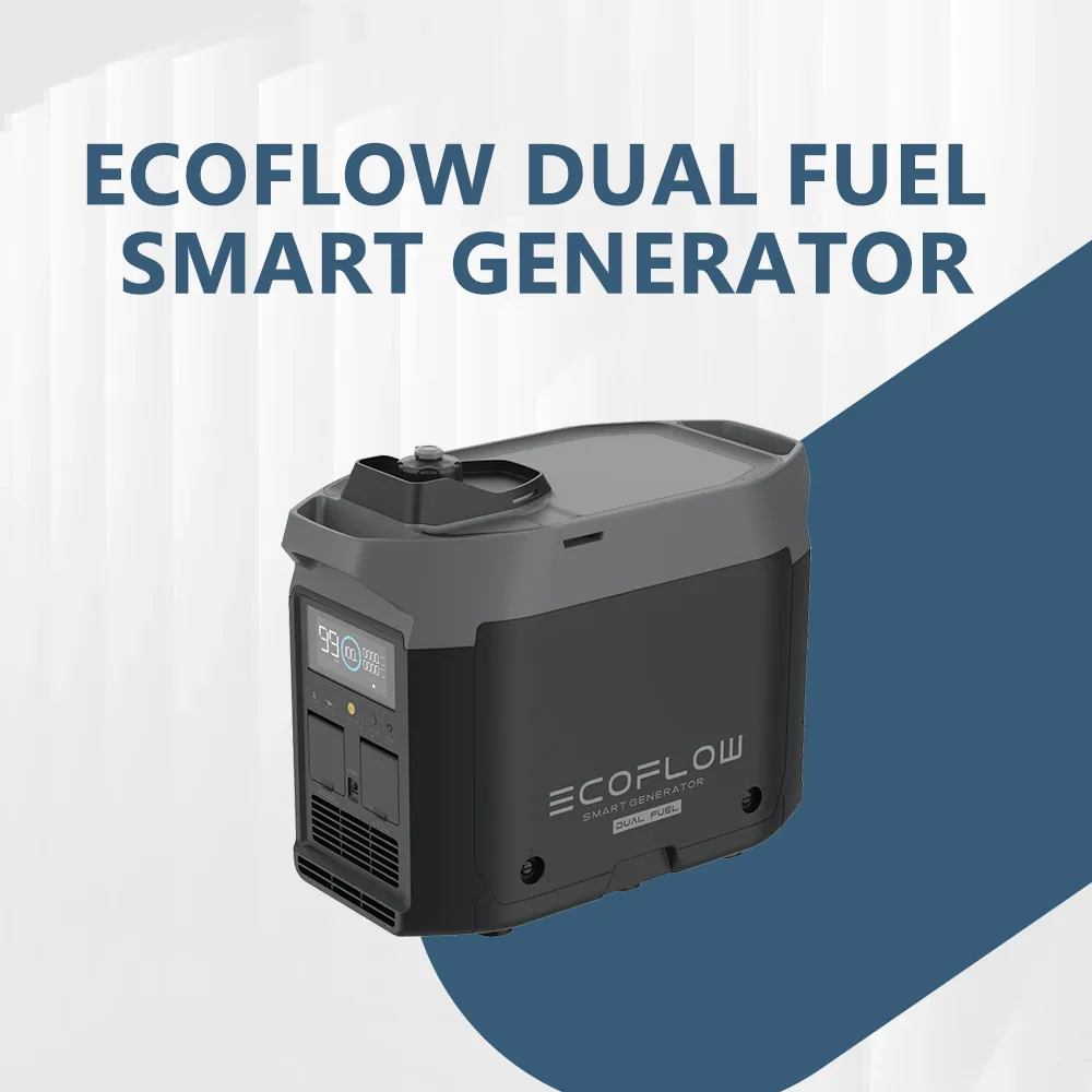 [ECO-RES-BAT06] EcoFlow Dual Fuel Smart Generator